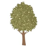 groene bomen illustratie vector