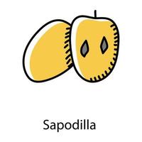 sapodilla handgetekende icoon, gezond en biologisch voedsel vector