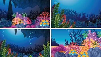 Set van onderwater koraal scènes