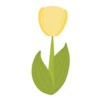 cartoon schattige tulp met groene stengel vectorillustratie. lente bloemen vector