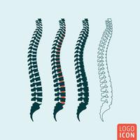 Menselijke wervelkolom pictogram vector