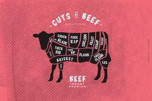 De gids van de slager, Cut of Beef vector