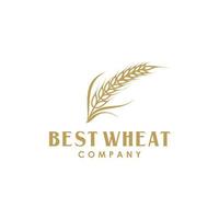 gouden graan tarwe of rijst logo ontwerp vector