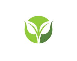 groene blad ecologie natuur element vector iconen