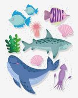 zeedieren tekenfilm vector