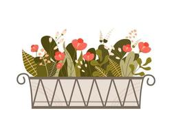 venster lange lage doos met verschillende groei planten en bloemen. balkon groene tuin. gekleurde platte vectorillustratie geïsoleerd op een witte achtergrond vector