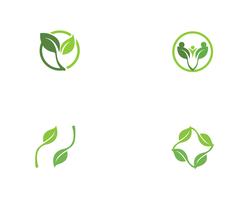 groene blad ecologie natuur element vector iconen