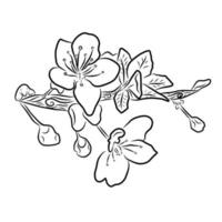 lijnstijl bloem illustratie vector