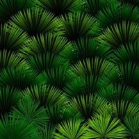 exotisch patroon met tropische bladeren op een zwarte achtergrond vector