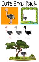 Pack van schattige emu vector