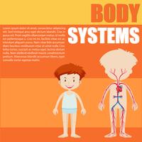 Jongen en lichaamssysteem diagram vector