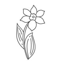lente botanische illustratie, pictogram doodle gele narcissen met groene bladeren. bloem narcist plat, jonquille vector