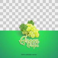 3D-groene druif vector