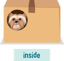 voorzetsel woordkaart met hond in doos vector