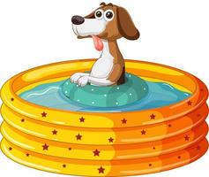 schattige hond die in het zwembad speelt vector