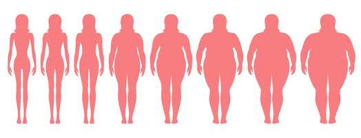 Vectorillustratie van vrouwensilhouetten met verschillend gewicht van anorexie aan uiterst zwaarlijvig. Body mass index, gewichtsverlies concept. vector
