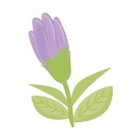 paarse bloem met bladeren vector ontwerp