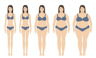 Body mass index vectorillustratie van ondergewicht tot extreem obesitas. Vrouwensilhouetten met verschillende zwaarlijvigheidsgraden. Gewichtsverlies concept. vector