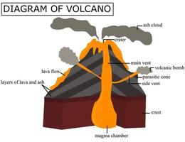 een diagram van een vulkaan.dwarsdoorsnede van een vulkaan.illustratie voor het bestuderen van aarde en geologievakken.infographic vectorillustratie. vector