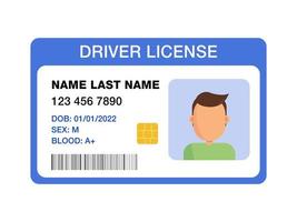 ID kaarten. persoonlijke info gegevens. identiteitsbewijs met persoonsfoto. rijbewijs. vector