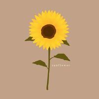 vectorillustratie van zonnebloem. boeket bloemen. zonnebloemen. hand geschilderd. geïsoleerde achtergrond. vector