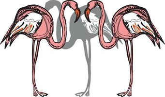 roze flamingo's. bezet met flamingo's. exotische vogels. voorraad vectorillustratie met paradijsvogels. vector