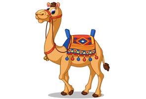 Mooie kamelen cartoon vector