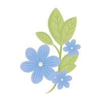 blauwe bloemen met bladeren vector ontwerp