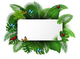 Bord met tekst ruimte van tropische bladeren en vlinders. Geschikt voor natuurconcept, vakantie en zomervakantie. Vector illustratie