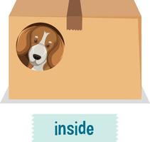 prepostion woordkaartontwerp met hond in doos vector