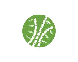 Bamboe-logo met groen blad voor uw pictogram vector sjabloon