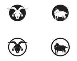 Geit zwart dieren vector logo en symbool
