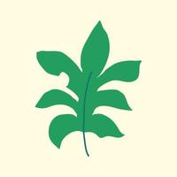 groen tropisch blad vector