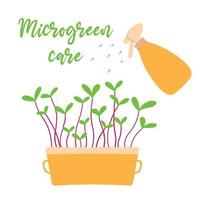 pot met microgroenten. microgroen zorg. microgreens erwten, radijs, ui, rucola. zonnebloem, bieten en anderen. plantenverzorgingsconcept. vectorillustratie in de hand getekende stijl. vector