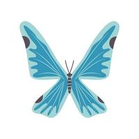 blauwe vlinder icoon vector