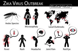 Zika-virus uitbraken infographics. Mosquito. Aedes soorten. is drager, microcefalie bij de foetus, lokale uitbraak, symptoom van zikakoorts. vector