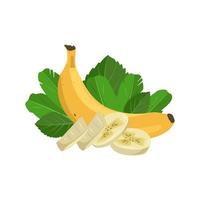 set van zoete gele hele en snijbanaan met bladeren. heerlijk gezond exotisch fruit. vector platte voedsel illustratie