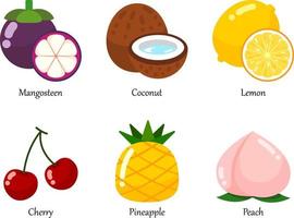 alle vruchten vector iconen set. een set van vers gezond fruit geïsoleerd.