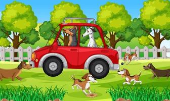 honden rijden in rode auto in park vector