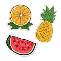 vector watermeloen, ananas en sinaasappel of citroen in een papieren uitgesneden stijl met een omtrek en felle kleur, zomerfruit, perfect voor stickers of spullen van de zomer. vector