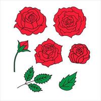 vector set van rode rozen geïsoleerd op een witte background
