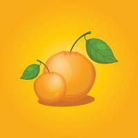 oranje fruit gratis vector