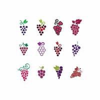 druiven logo ontwerpset vector