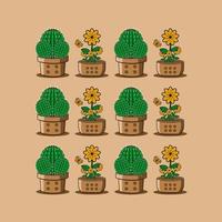 set van cactus en bloem cartoon vector illsutration