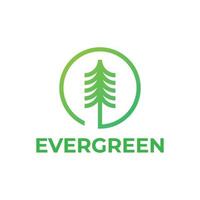 groenblijvende dennenboom in cirkel logo-ontwerp vector