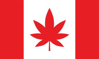 Vlag van Canada met maijuana blad. vector