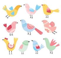 schattige vogels vector. tekenfilmreeks kleurrijke vogels. grillige lentevogels. kleurrijk en vrolijk. vector