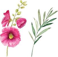 set aquarel planten en bloemen. vector