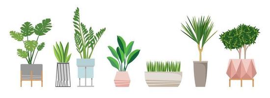 een set modieuze kamerplanten voor in huis. geïsoleerd op een witte achtergrond. dracaena, monstera, buxus, chlorophytum, spatifilum, ficus benjamin, ananas, zamiokulkas. kleur platte vector