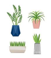 een set stijlvolle modieuze kamerplanten voor in huis. geïsoleerd op een witte achtergrond. dracaena, monstera, buxus, spatifilum, ficus benjamin, ananas, zamiokulkas. kleur platte vector